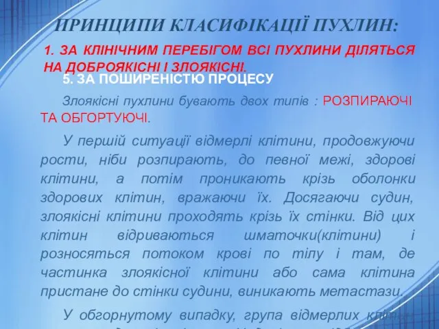 ПРИНЦИПИ КЛАСИФІКАЦІЇ ПУХЛИН: 1. ЗА КЛІНІЧНИМ ПЕРЕБІГОМ ВСІ ПУХЛИНИ ДІЛЯТЬСЯ НА