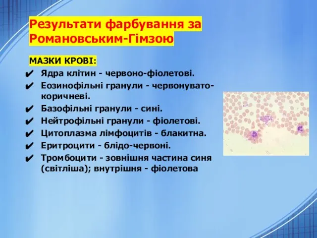 Результати фарбування за Романовським-Гімзою МАЗКИ КРОВІ: Ядра клітин - червоно-фіолетові. Еозинофільні