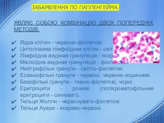 ЯВЛЯЄ СОБОЮ КОМБІНАЦІЮ ДВОХ ПОПЕРЕДНІХ МЕТОДІВ. Ядра клітин - червоно-фіолетові. Цитоплазма