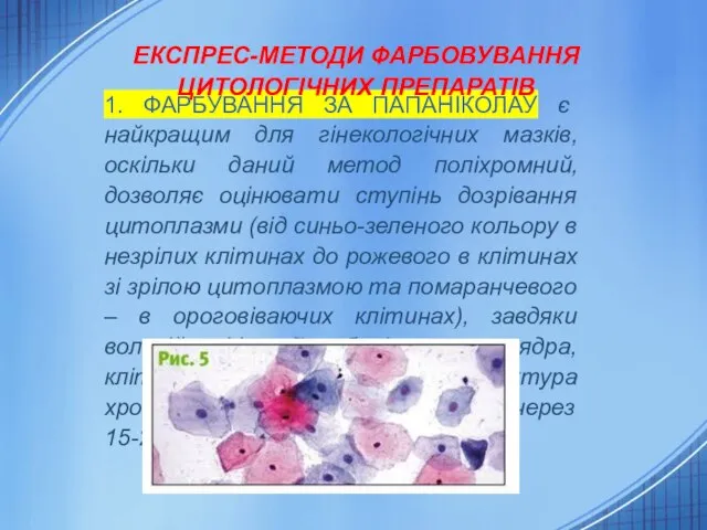 1. ФАРБУВАННЯ ЗА ПАПАНІКОЛАУ є найкращим для гінекологічних мазків, оскільки даний