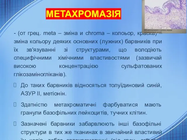 МЕТАХРОМАЗІЯ - (от грец. meta – зміна и chroma – колоьор,