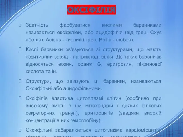 ОКСІФІЛІЯ Здатність фарбуватися кислими барвниками називається оксіфіліей, або ацидофілія (від грец.