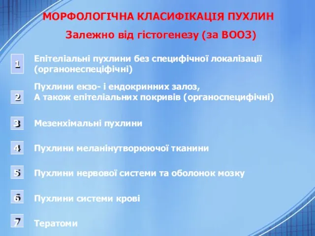 МОРФОЛОГІЧНА КЛАСИФІКАЦІЯ ПУХЛИН Залежно від гістогенезу (за ВООЗ) 1 2 Епітеліальні