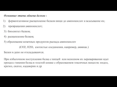 Основные этапы обмена белков : ферментативное расщепление белков пищи до аминокислот