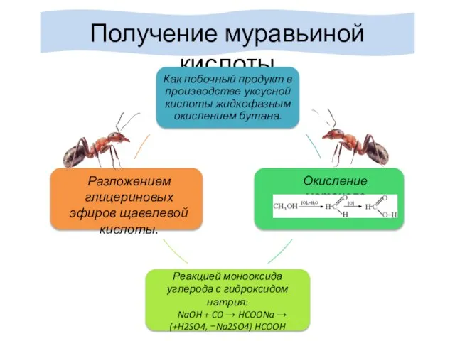 Получение муравьиной кислоты Окисление метанола Реакцией монооксида углерода с гидроксидом натрия: