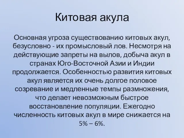 Китовая акула Основная угроза существованию китовых акул, безусловно - их промысловый