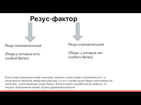 Резус-фактор Резус-положительный (Люди,у которых есть особый белок) Резус-отрицательный (Люди, у которых