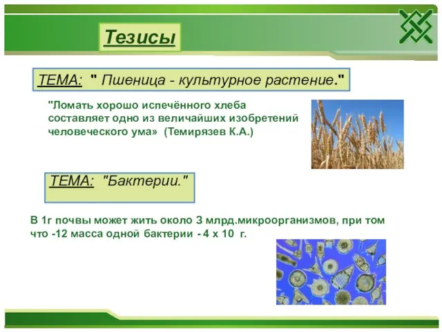 Тезисы ТЕМА: " Пшеница - культурное растение." ТЕМА: "Бактерии." "Ломать хорошо