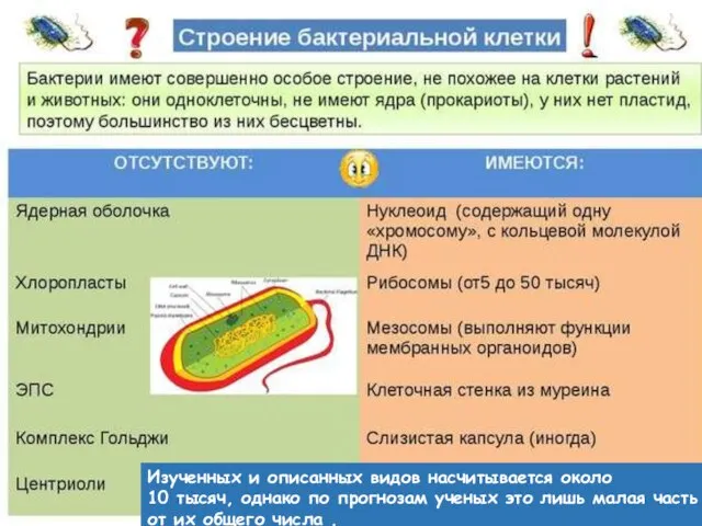 Изученных и описанных видов насчитывается около 10 тысяч, однако по прогнозам