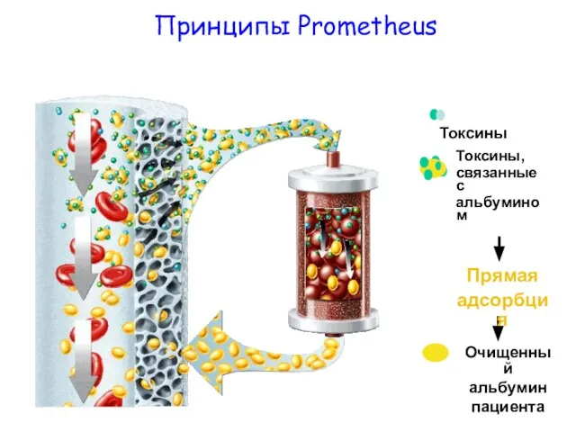 Принципы Prometheus