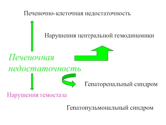 Печеночная недостаточность Печеночно-клеточная недостаточность Нарушения центральной гемодинамики Гепаторенальный синдром Нарушения гемостаза Гепатопульмональный синдром