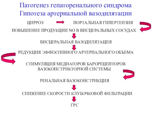 ГРС Патогенез гепаторенального синдрома Гипотеза артериальной вазодилятации ЦИРРОЗ ПОРТАЛЬНАЯ ГИПЕРТЕНЗИЯ ПОВЫШЕНИЕ