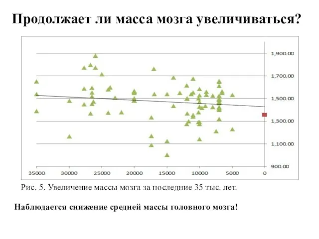 Продолжает ли масса мозга увеличиваться? Рис. 5. Увеличение массы мозга за