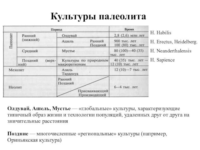 Культуры палеолита Олдувай, Ашель, Мустье — «глобальные» культуры, характеризующие типичный образ