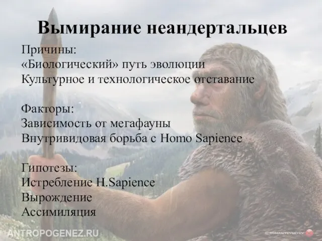 Вымирание неандертальцев Причины: «Биологический» путь эволюции Культурное и технологическое отставание Факторы: