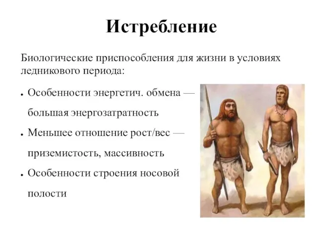 Истребление Биологические приспособления для жизни в условиях ледникового периода: Особенности энергетич.