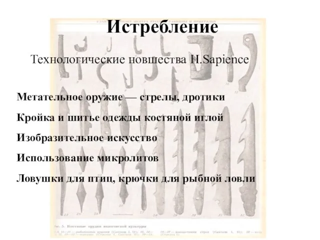 Истребление Технологические новшества H.Sapience Метательное оружие — стрелы, дротики Кройка и