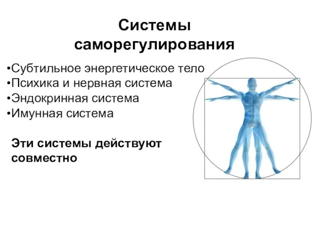 Системы саморегулирования Субтильное энергетическое тело Психика и нервная система Эндокринная система