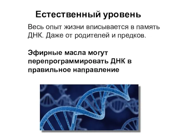 Естественный уровень Весь опыт жизни вписывается в память ДНК. Даже от