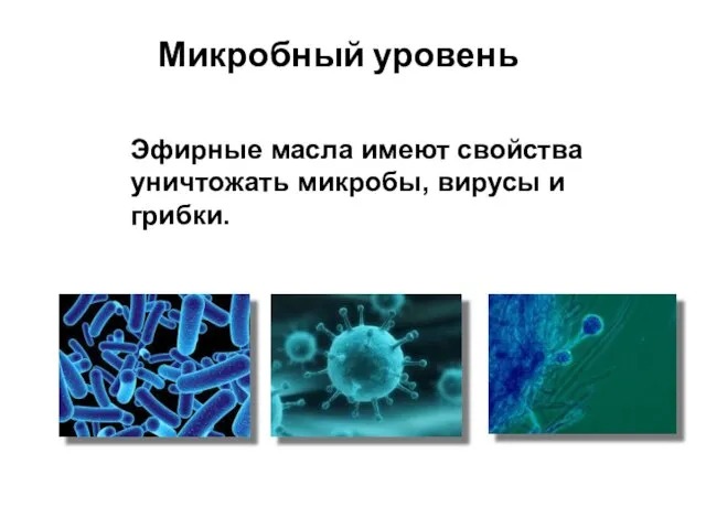 Микробный уровень Эфирные масла имеют свойства уничтожать микробы, вирусы и грибки.