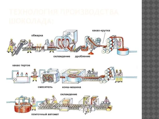 ТЕХНОЛОГИЯ ПРОИЗВОДСТВА ШОКОЛАДА: