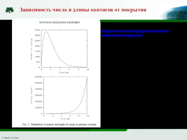 Зависимость числа и длины контигов от покрытия Разрывы в контигах образуются и по чисто статистическим причинам.