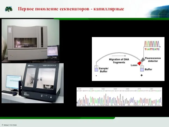 96-capillary ABI 3730XL Первое поколение секвенаторов - капиллярные Нанофор 05 – российская модель