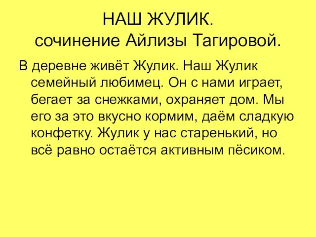 НАШ ЖУЛИК. сочинение Айлизы Тагировой. В деревне живёт Жулик. Наш Жулик