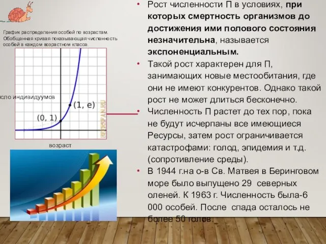 Рост численности П в условиях, при которых смертность организмов до достижения