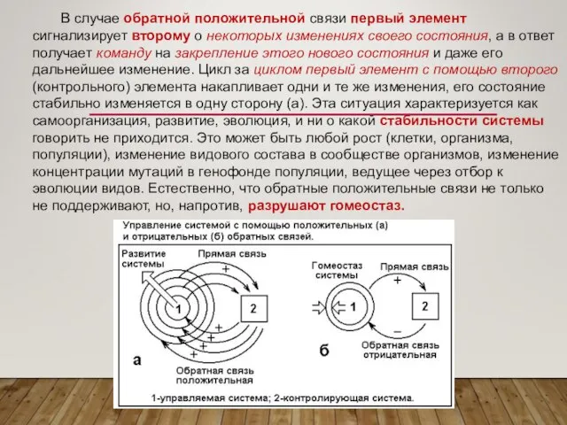 В случае обратной положительной связи первый элемент сигнализирует второму о некоторых