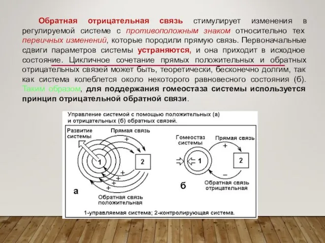 Обратная отрицательная связь стимулирует изменения в регулируемой системе с противоположным знаком