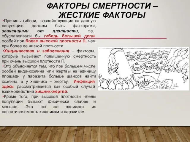 ФАКТОРЫ СМЕРТНОСТИ –ЖЕСТКИЕ ФАКТОРЫ Причины гибели, воздействующие на данную популяцию должны