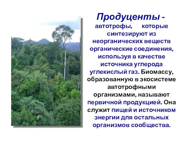 Продуценты - автотрофы, которые синтезируют из неорганических веществ органические соединения, используя