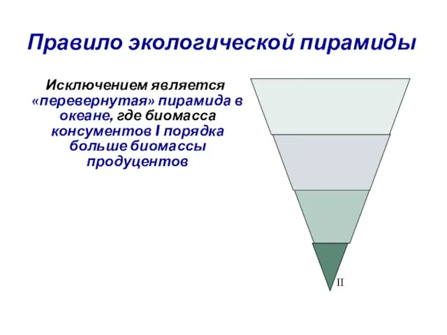 Правило экологической пирамиды Исключением является «перевернутая» пирамида в океане, где биомасса