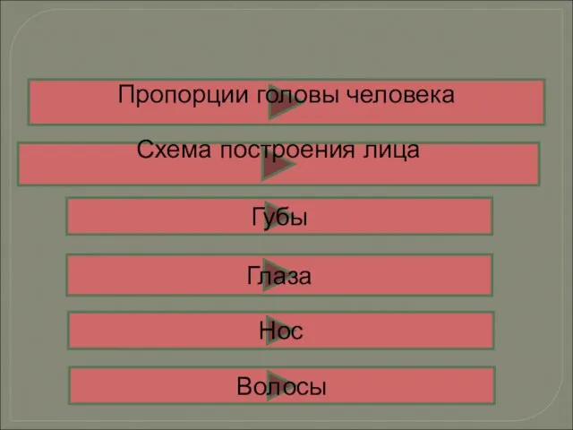 Пропорции головы человека Губы Схема построения лица Глаза Волосы Нос