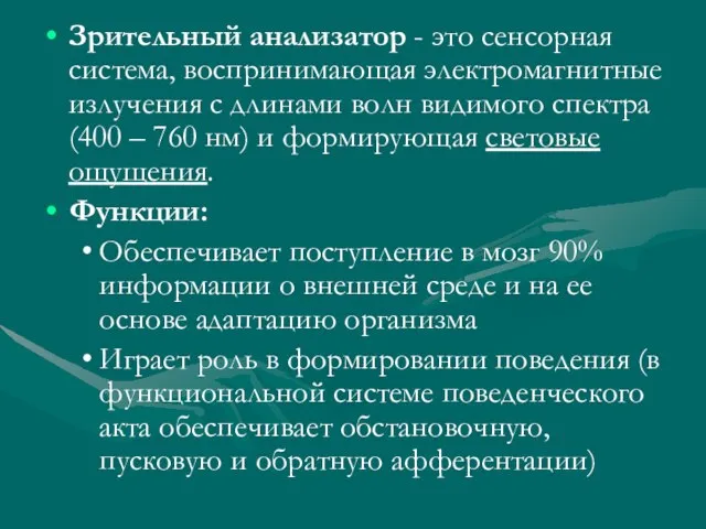 Зрительный анализатор - это сенсорная система, воспринимающая электромагнитные излучения с длинами