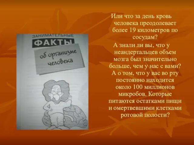 Или что за день кровь человека преодолевает более 19 километров по