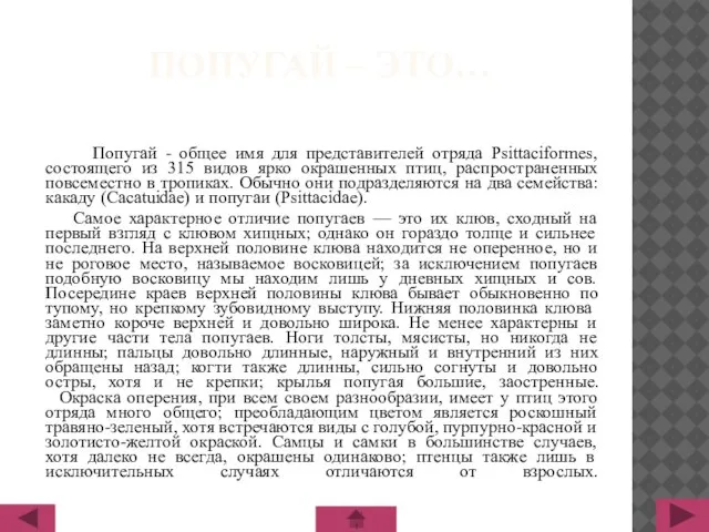 ПОПУГАЙ – ЭТО… Попугай - общее имя для представителей отряда Psittaciformes,