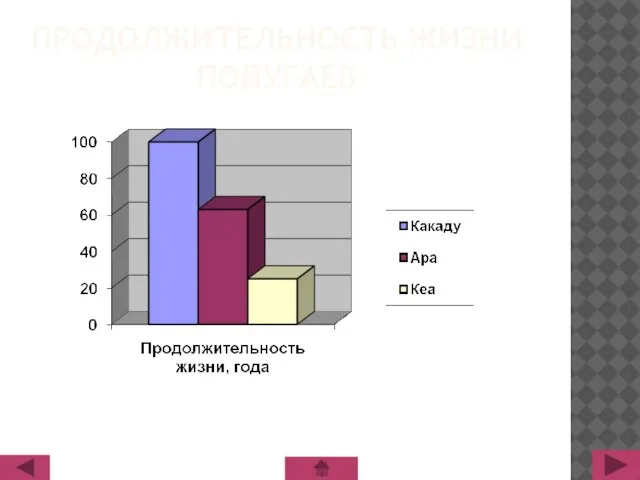 ПРОДОЛЖИТЕЛЬНОСТЬ ЖИЗНИ ПОПУГАЕВ