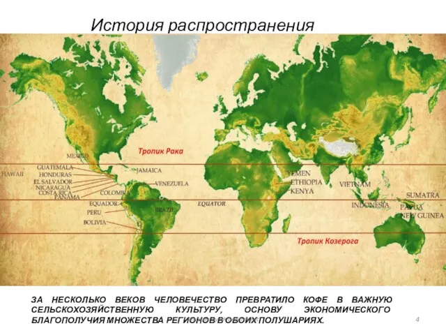 История распространения кофе ЗА НЕСКОЛЬКО ВЕКОВ ЧЕЛОВЕЧЕСТВО ПРЕВРАТИЛО КОФЕ В ВАЖНУЮ