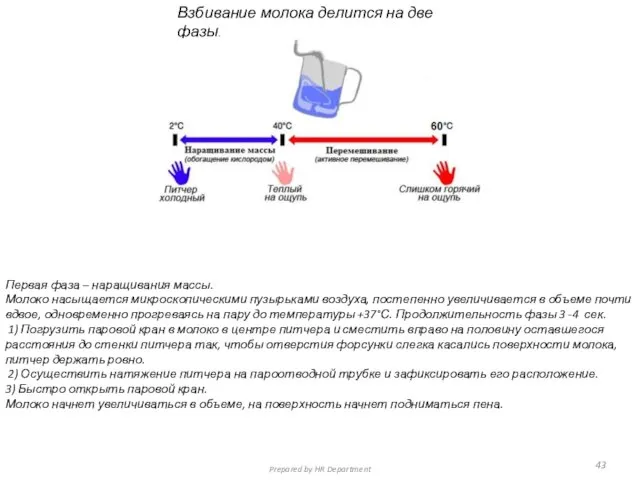 Взбивание молока делится на две фазы. Первая фаза – наращивания массы.