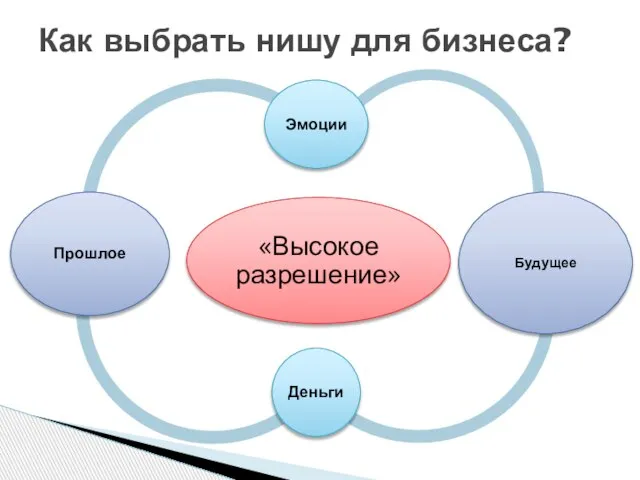 Как выбрать нишу для бизнеса?