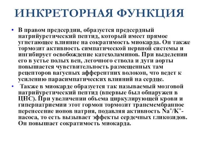 ИНКРЕТОРНАЯ ФУНКЦИЯ В правом предсердии, образуется предсердный натрийуретический пептид, который имеет