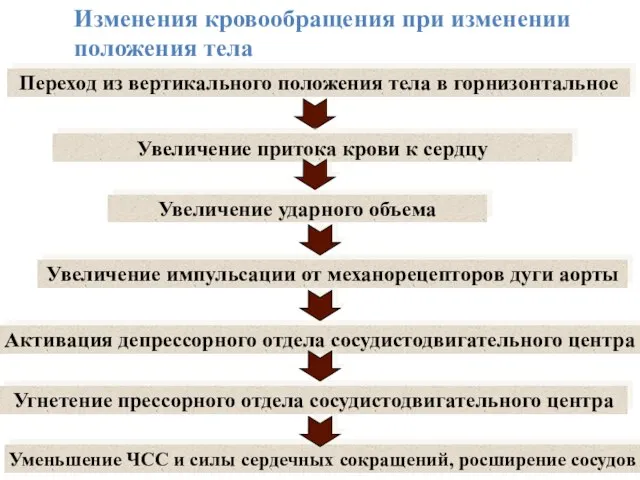 Переход из вертикального положения тела в горнизонтальное Увеличение притока крови к