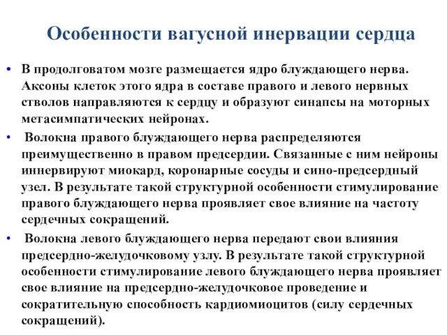 Особенности вагусной инервации сердца В продолговатом мозге размещается ядро блуждающего нерва.