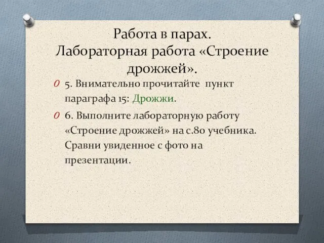 Работа в парах. Лабораторная работа «Строение дрожжей». 5. Внимательно прочитайте пункт