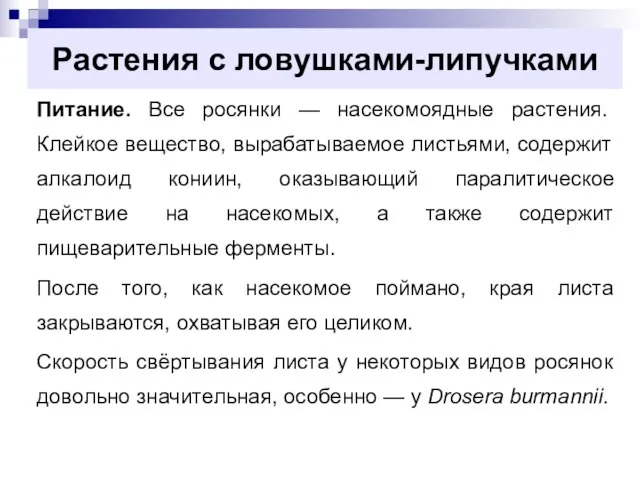 Растения с ловушками-липучками Питание. Все росянки — насекомоядные растения. Клейкое вещество,