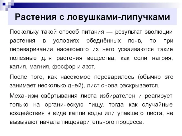 Растения с ловушками-липучками Поскольку такой способ питания — результат эволюции растения