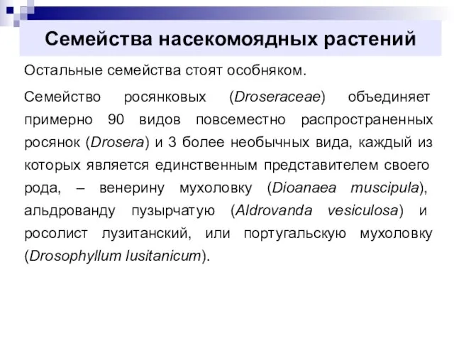 Семейства насекомоядных растений Остальные семейства стоят особняком. Семейство росянковых (Droseraceae) объединяет