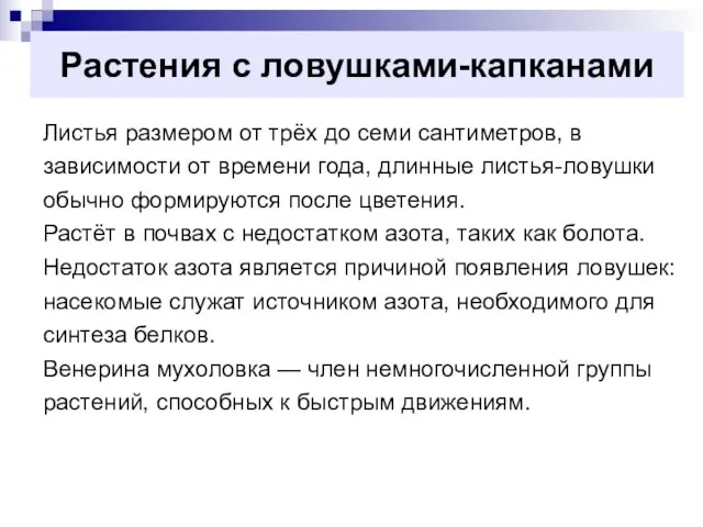 Растения с ловушками-капканами Листья размером от трёх до семи сантиметров, в